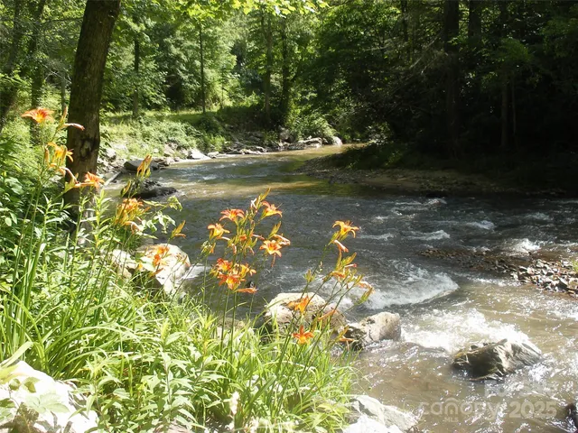 a close up of a tree