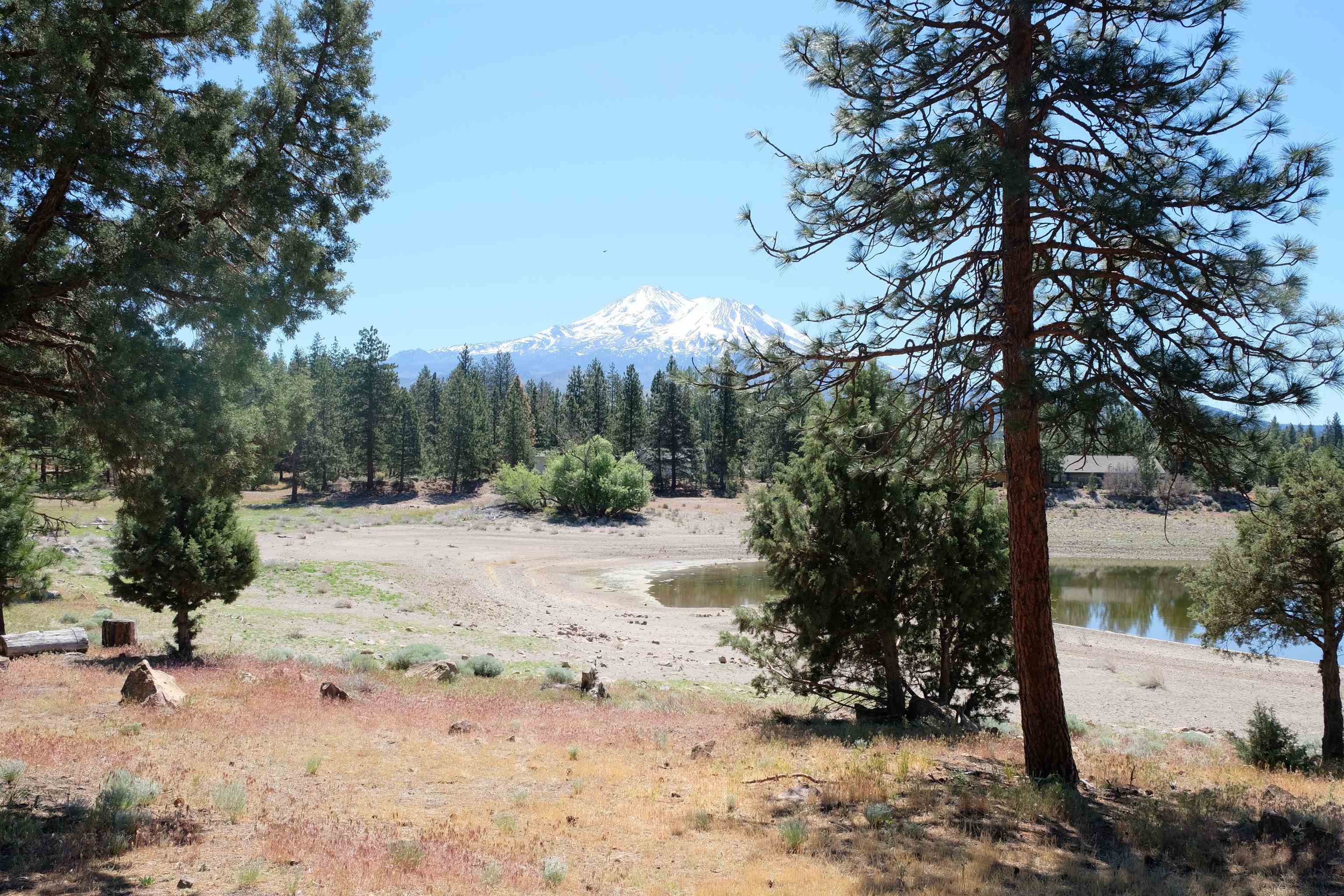 Lot 81 Spear Point Road Weed, CA 96094 - Photo 1 of 9 Gallery Image 1