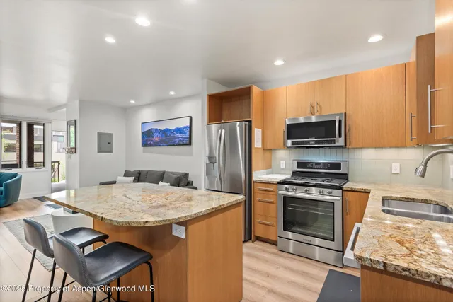 $18,000 | 450 South Original Street, Unit 9, Aspen, CO 81611