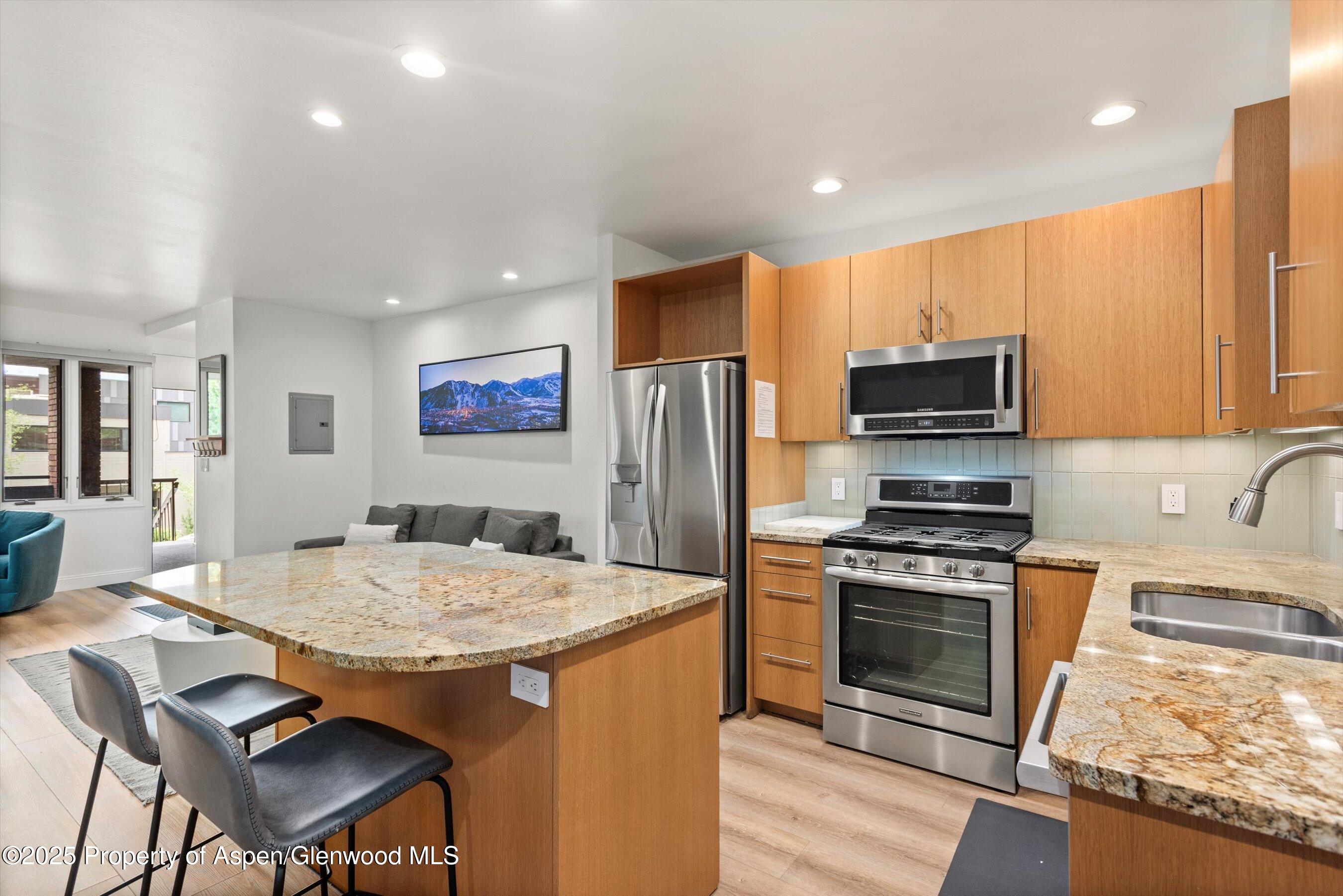 450 South Original Street, Unit 9 Aspen, CO 81611 - Photo 4 of 11 Kitchen