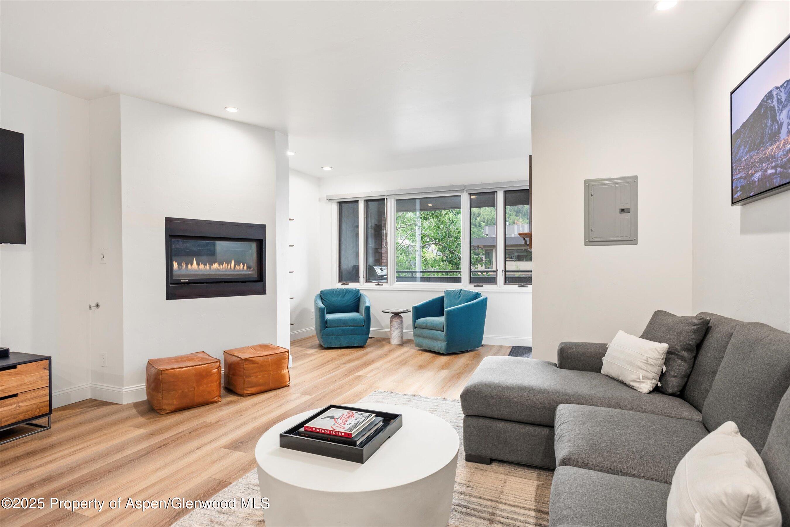 450 South Original Street, Unit 9 Aspen, CO 81611 - Photo 5 of 11 Living Room