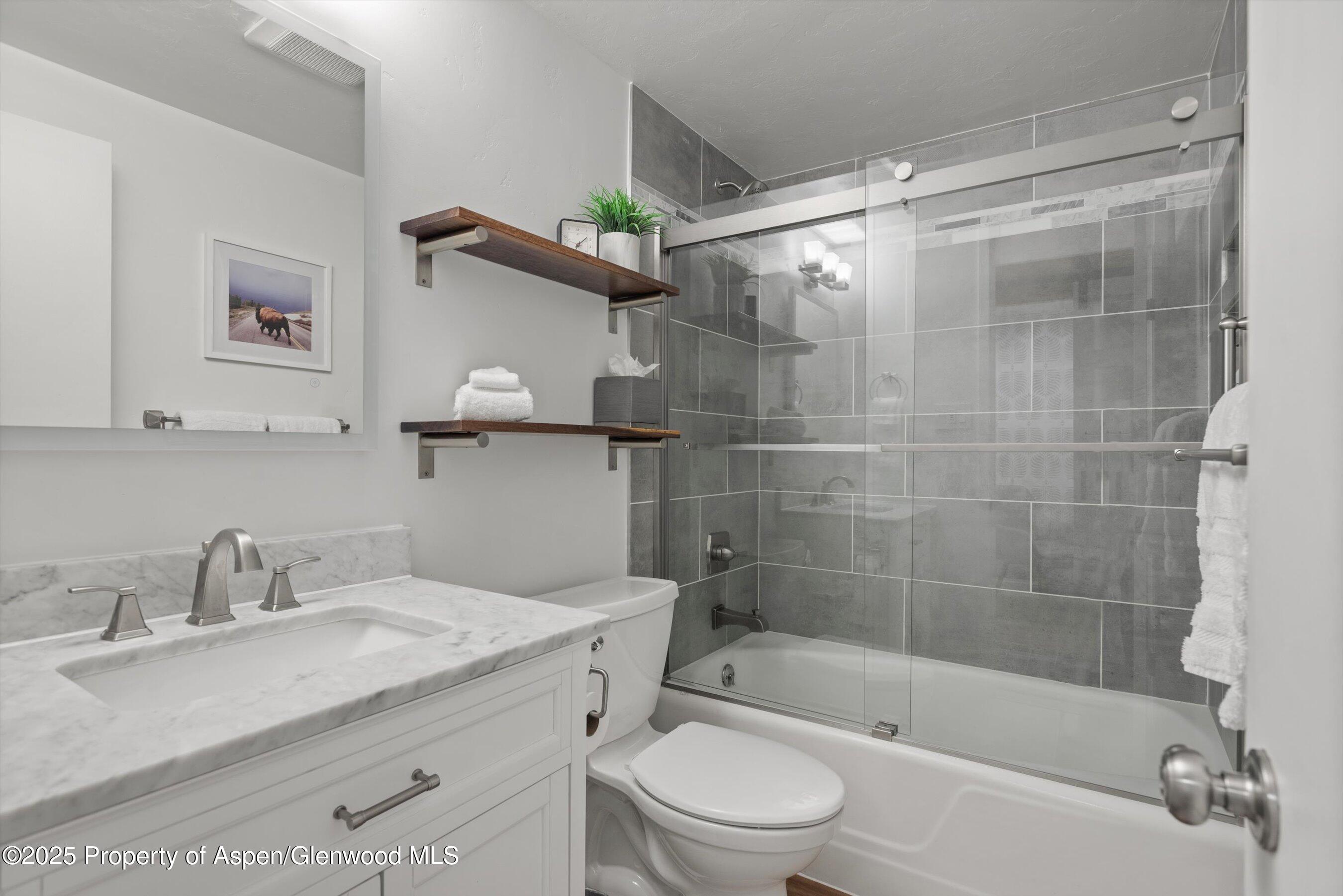 450 South Original Street, Unit 9 Aspen, CO 81611 - Photo 7 of 11 Bathroom