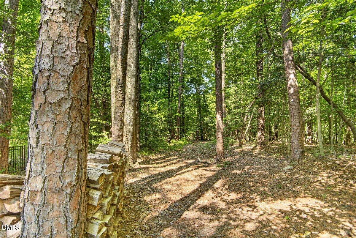149 Rabbitt Lane Henderson, NC 27537 - Photo 28 of 41 1000005301