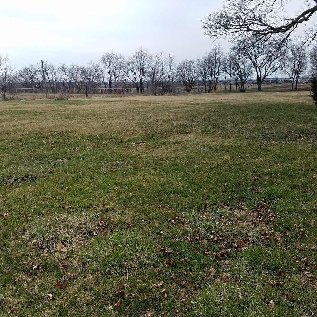 0 8th Avenue West Rochelle, IL 61068 - Photo 1 of 1