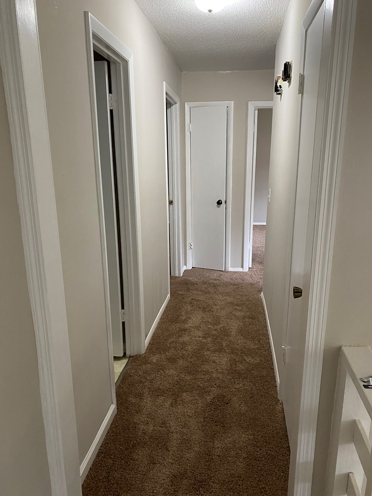 401 Choctaw Road Enterprise, AL 36330 - Photo 11 of 31