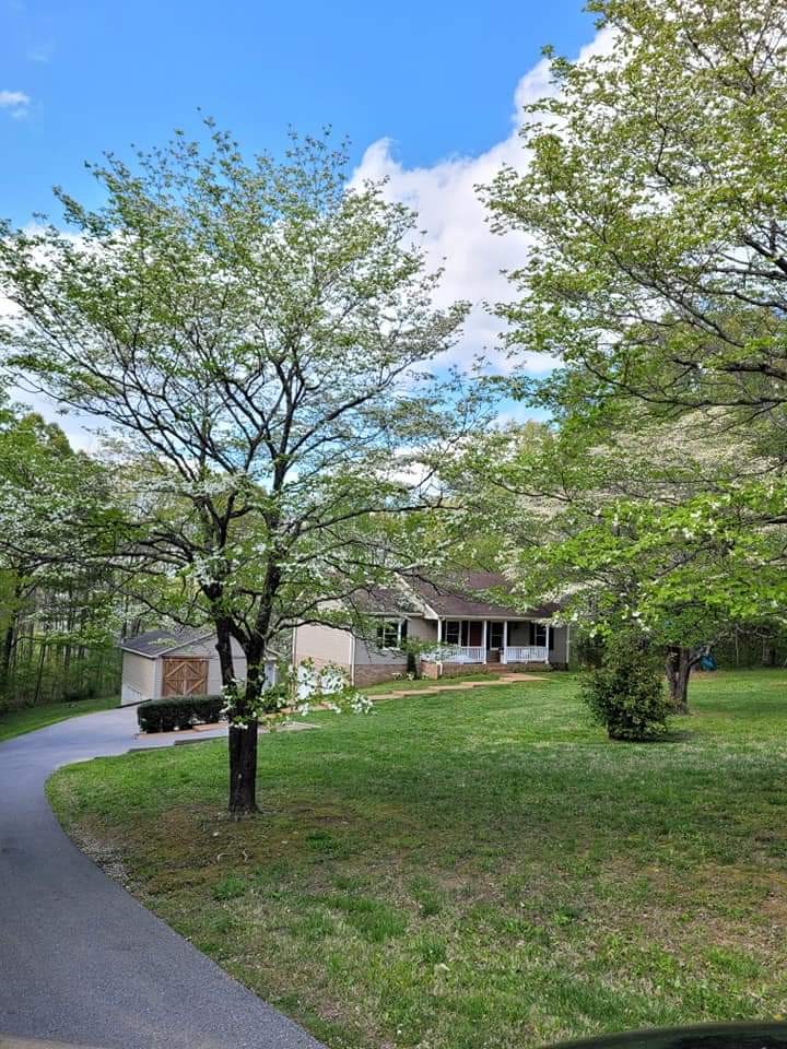 7397 Forest Glenn Road Fairview, TN 37062 - Photo 3 of 16 a view of house with an outdoor space