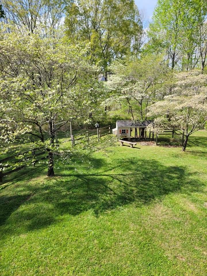 7397 Forest Glenn Road Fairview, TN 37062 - Photo 5 of 16 a garden with lots of trees