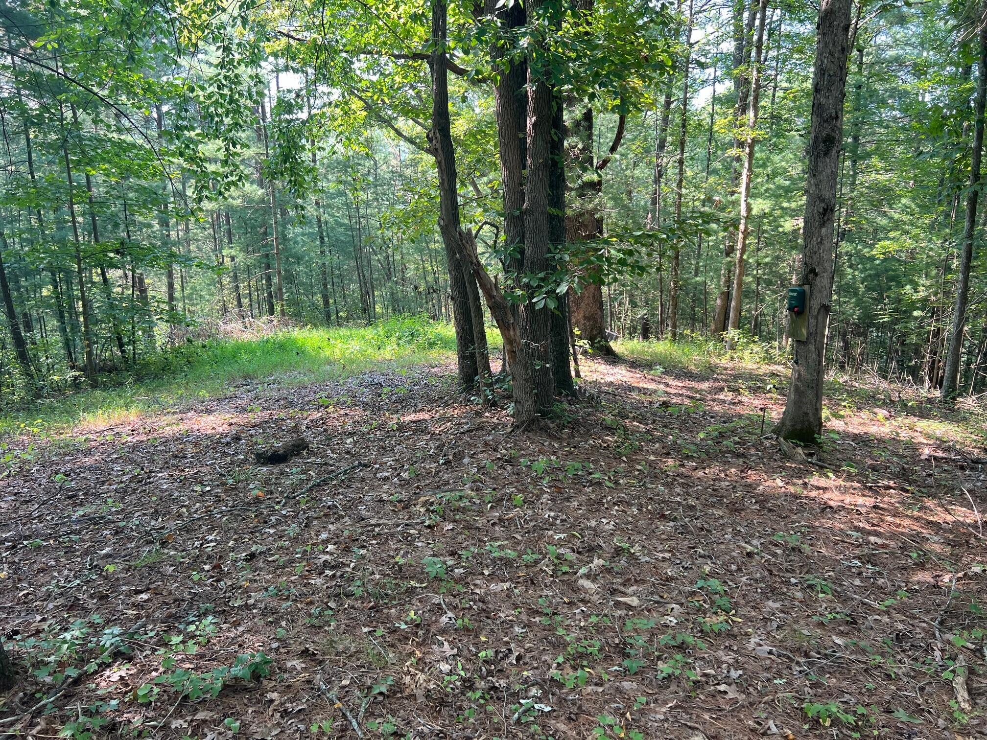 1440 Landsaw Road Campton, KY 41301 - Photo 12 of 27 17