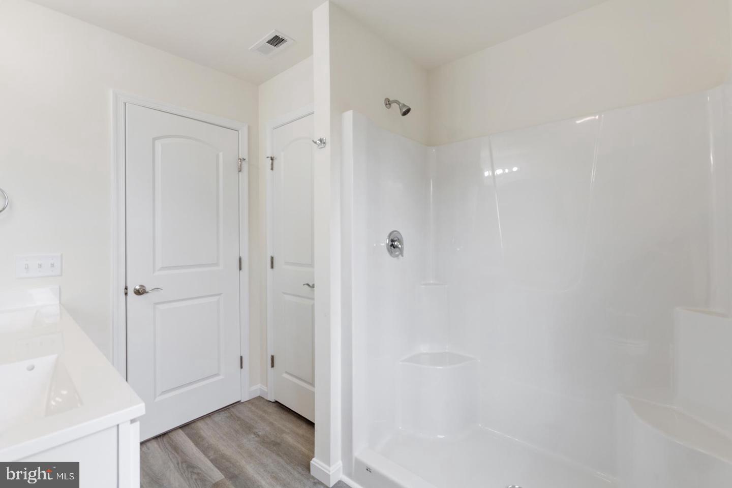 144 Pratts Branch Road Felton, DE 19943 - Photo 20 of 24 a view of bathroom with a shower