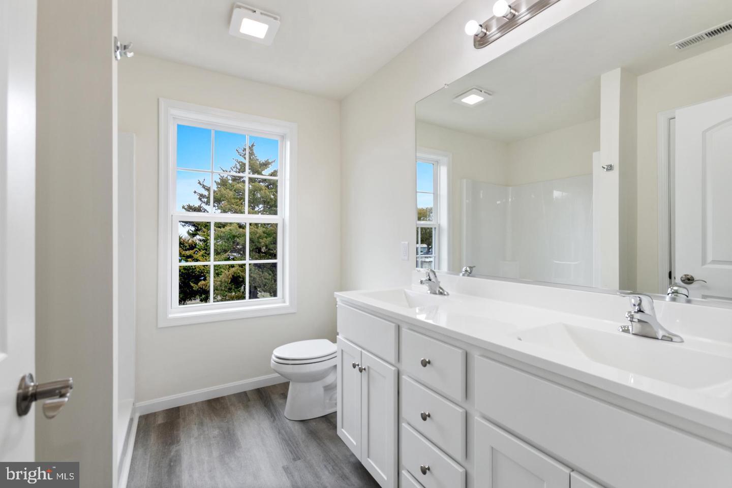 144 Pratts Branch Road Felton, DE 19943 - Photo 21 of 24 a bathroom with double vanity sink a mirror and a toilet