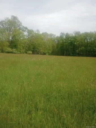 a view of a field with an ocean
