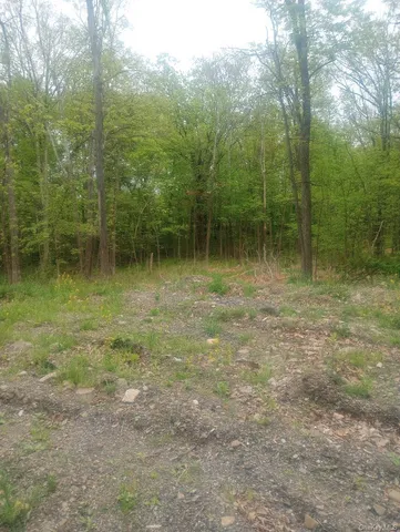 a view of a outdoor space