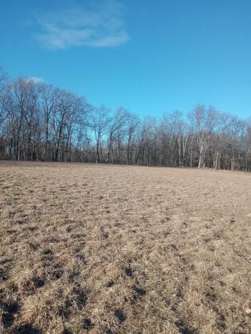 a view of patio with a yard