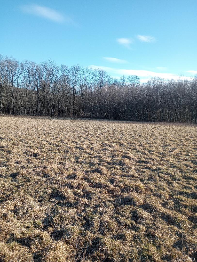 Myers Rd Westtown Ny 10 Myers Road Westtown, NY 10998 - Photo 5 of 8 a view of a yard