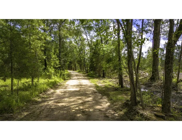$210,000 | Tbd Tbd Road, Moscow, TX 75960