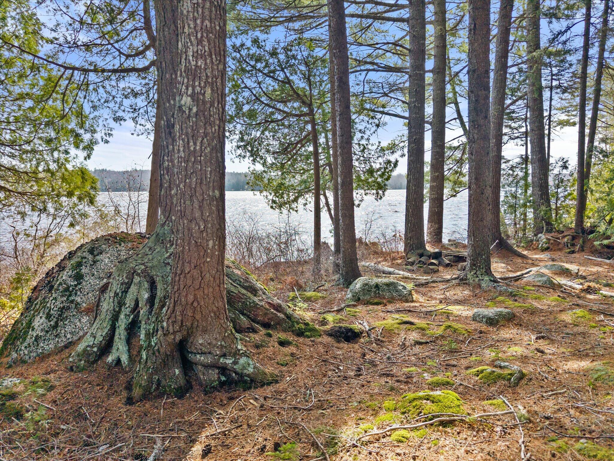 186 Long Point Way Orland, ME 04472 - Photo 16 of 59 19-186 Long Point