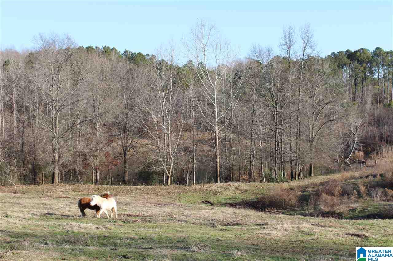 3601 Brookside Road Brilliant, AL 35548 - Photo 16 of 33