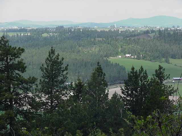 Parcel J North Parcel J N Timbeline Loop Mead, WA 99021 - Photo 3 of 3 Gallery Image 3