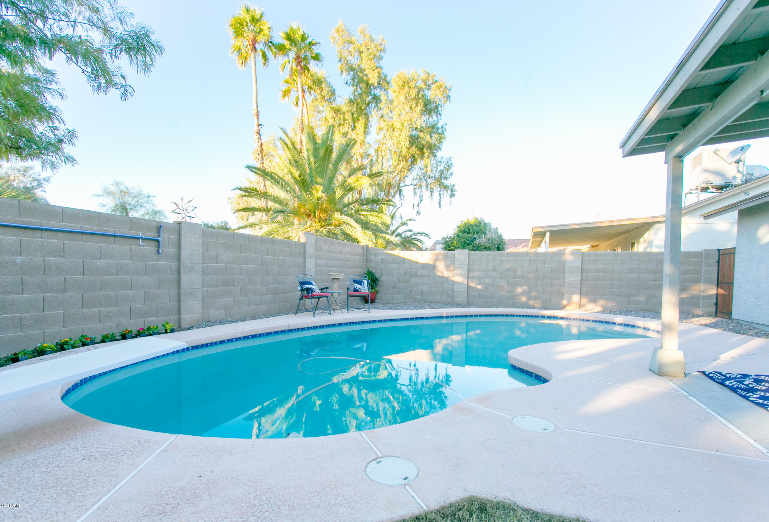 4337 East Frye Road Phoenix, AZ 85048 - Photo 4 of 30 Pool