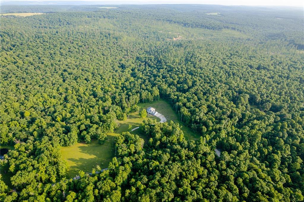 700 Springfield Road Penn Run, PA 15765 - Photo 4 of 25 a view of a forest with a lake