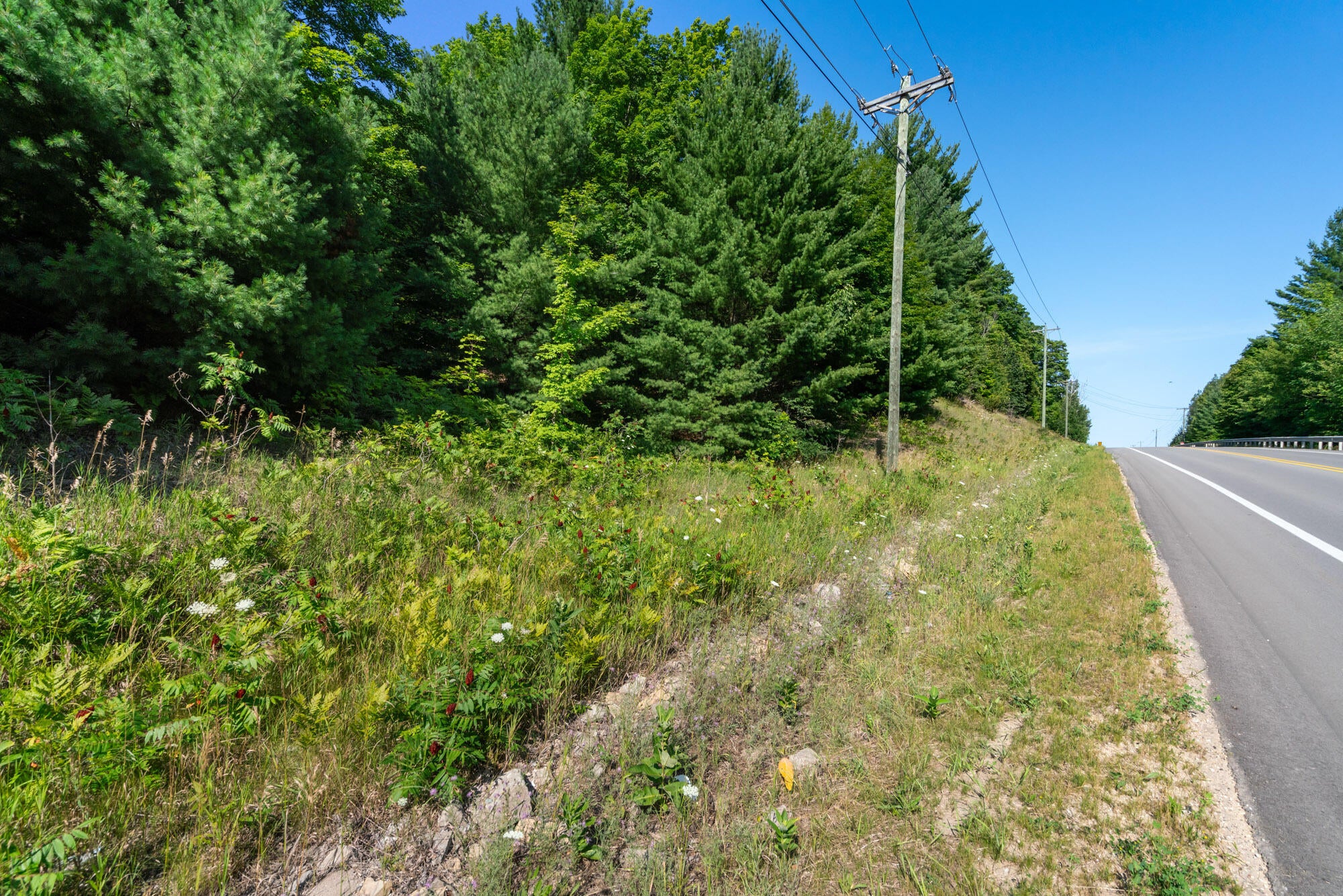 Tbd Tbd Bc/ej Road East Jordan, MI 49727 - Photo 8 of 21 Gallery Image 8
