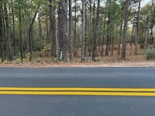 4815 Truman Mountain Road Gainesville, GA 30506 - Photo 1 of 1 a view of a bathtub and trees in the background