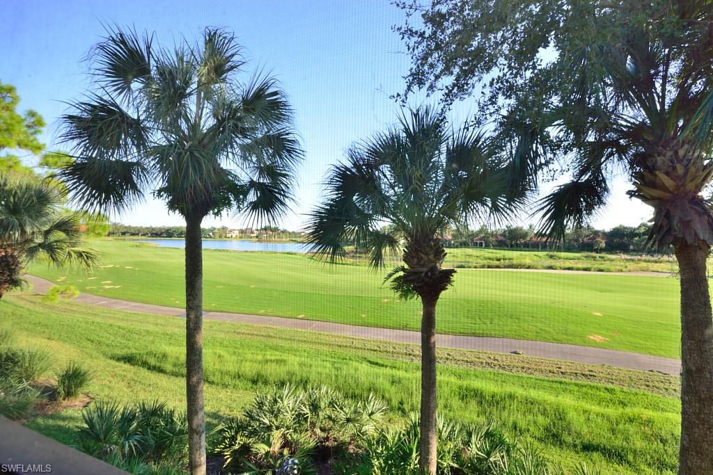 3960 Deer Crossing Court, Unit 6204 Naples, FL 34114 - Photo 10 of 23 a view of a yard with a palm tree