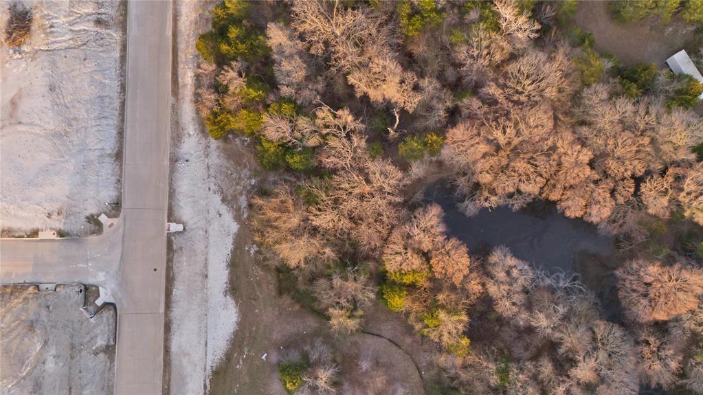 4810 Azalea Way Midlothian, TX 76065 - Photo 2 of 13 a picture of tree