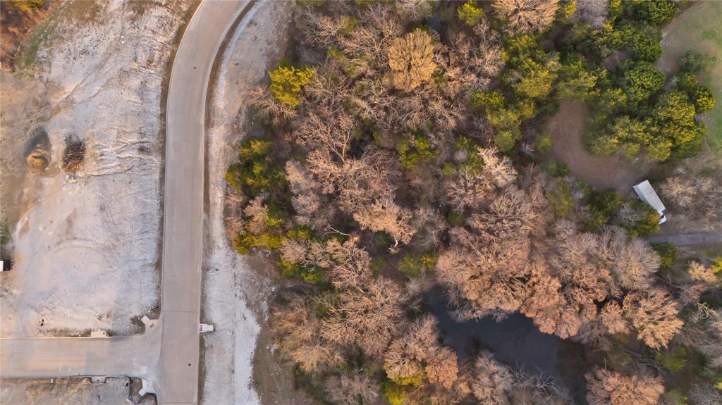 4810 Azalea Way Midlothian, TX 76065 - Photo 3 of 13 a view of a flowers in a bathroom