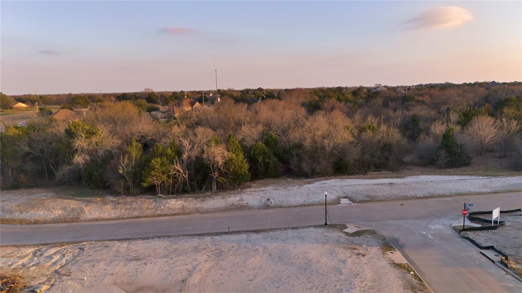 4810 Azalea Way Midlothian, TX 76065 - Photo 4 of 13 a view of a dry yard with mountain