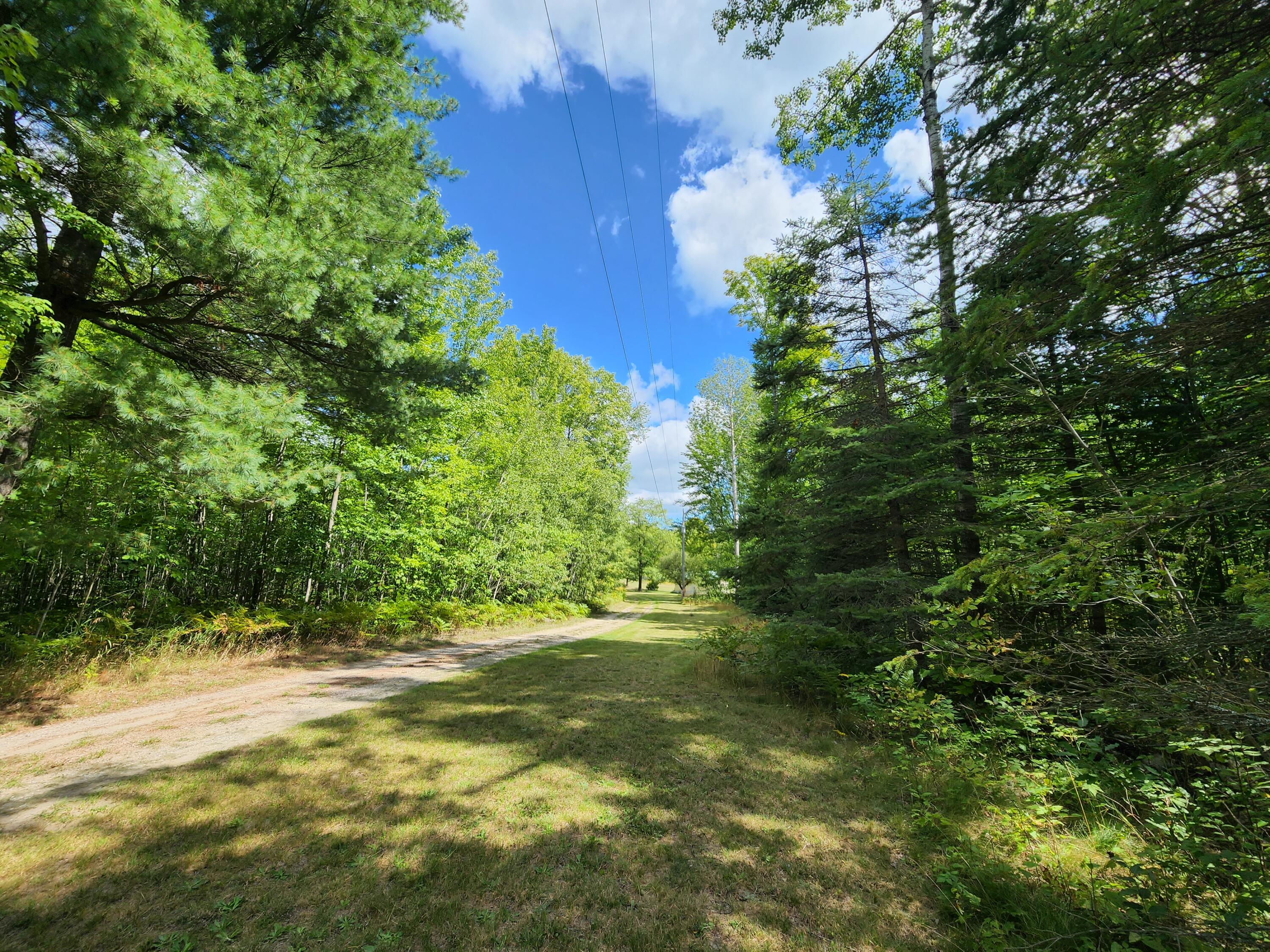 2165 Maier Road Mio, MI 48647 - Photo 40 of 75 Gallery Image 40