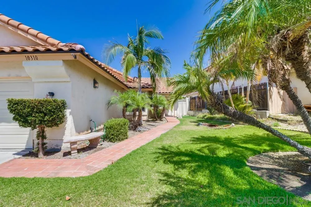 10310 Lake Ridge Court Spring Valley, CA 91977 - Photo 4 of 37 a view of a backyard with a potted plants and a large tree