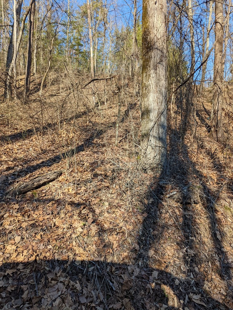 4 Rising Fawn Way Sevierville, TN 37862 - Photo 2 of 4
