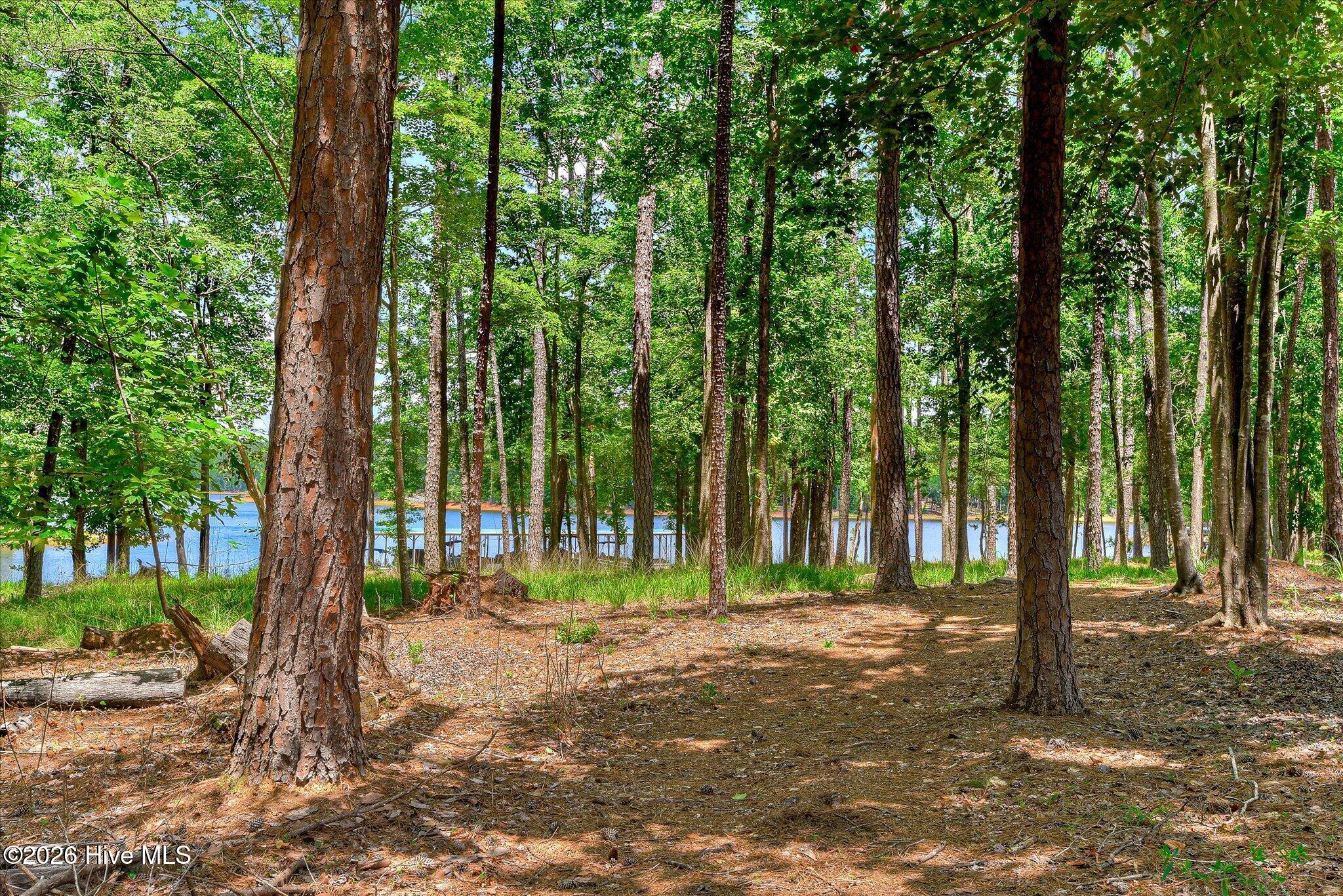 144 Grandview Drive McCormick, SC 29835 - Photo 76 of 79