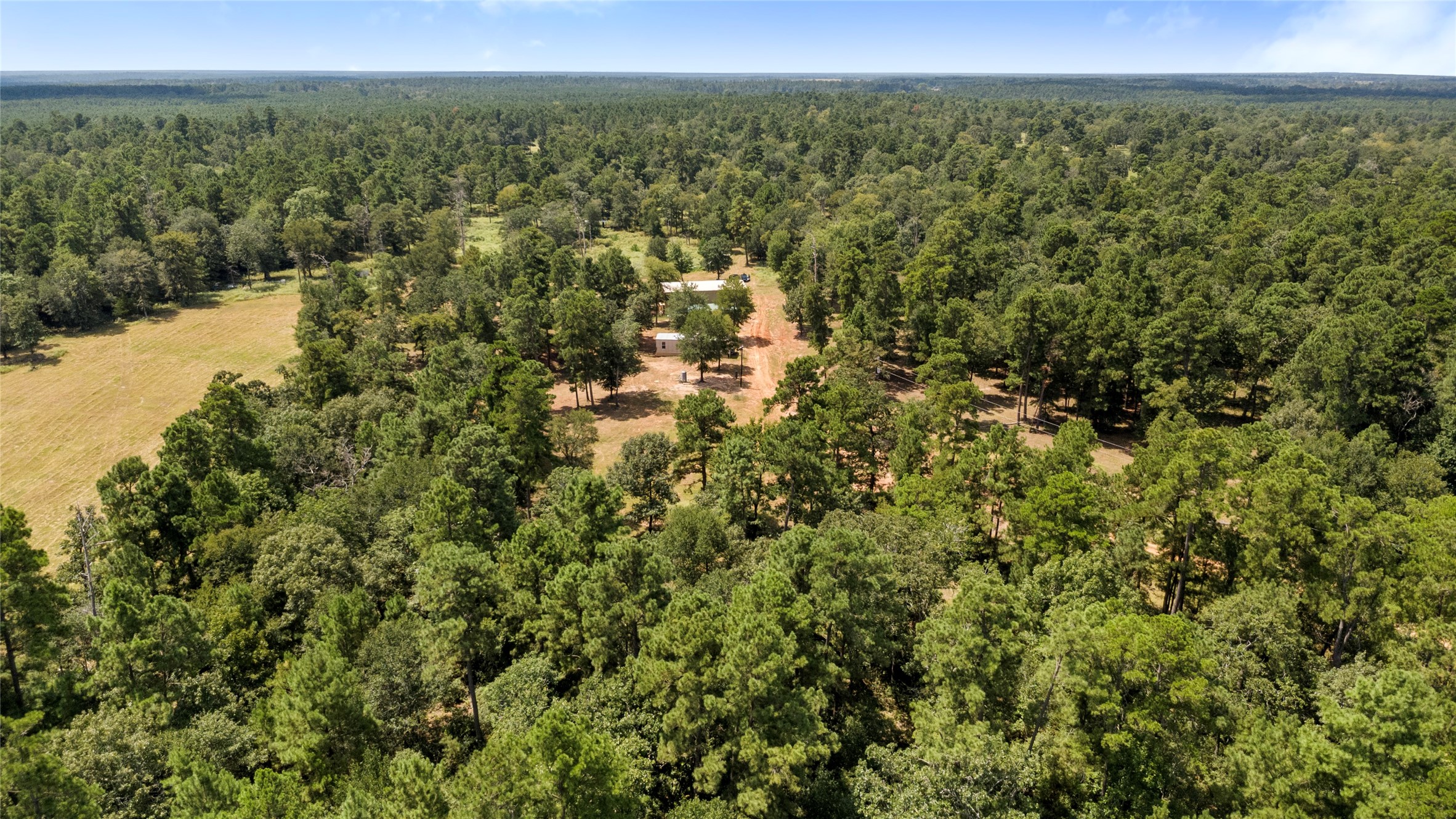 235 Flynt Road Huntsville, TX 77320 - Photo 15 of 25 a view of a city with lush green forest