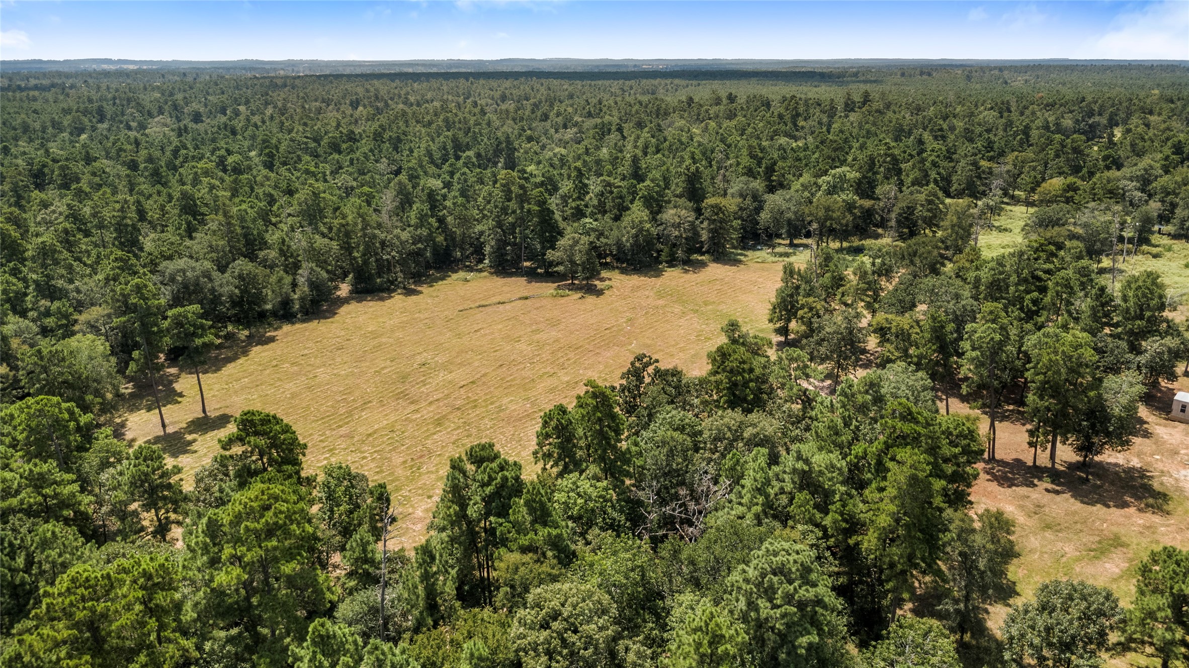 235 Flynt Road Huntsville, TX 77320 - Photo 16 of 25 a view of a yard