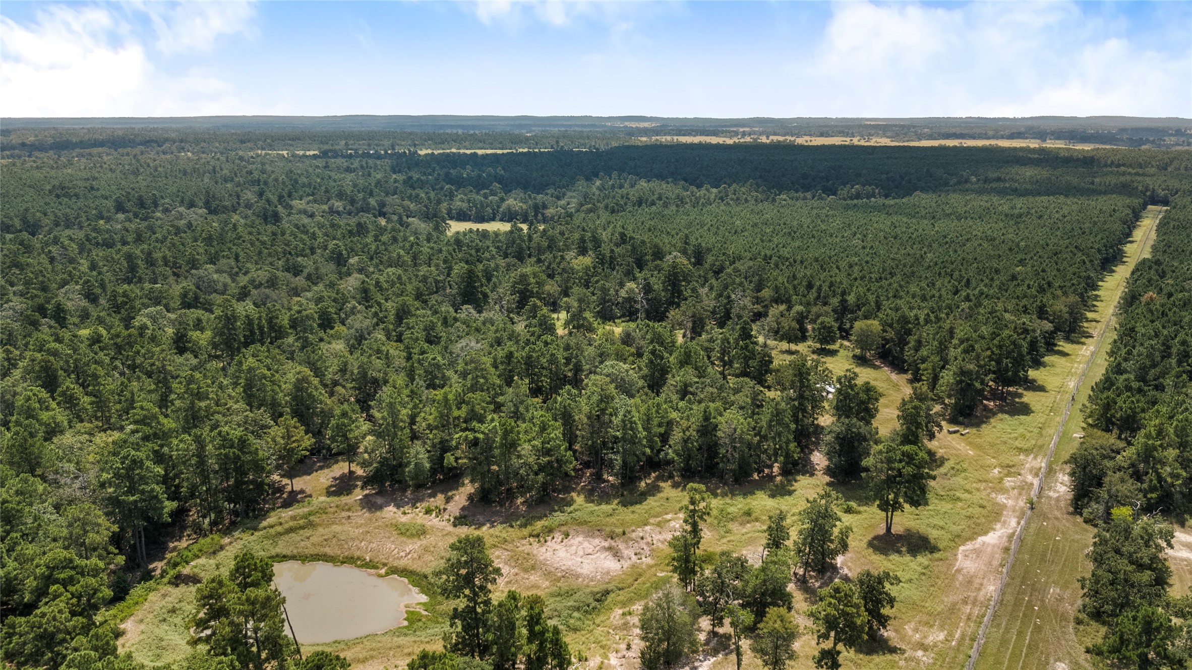 235 Flynt Road Huntsville, TX 77320 - Photo 17 of 25 a view of a lush green forest with lots of trees