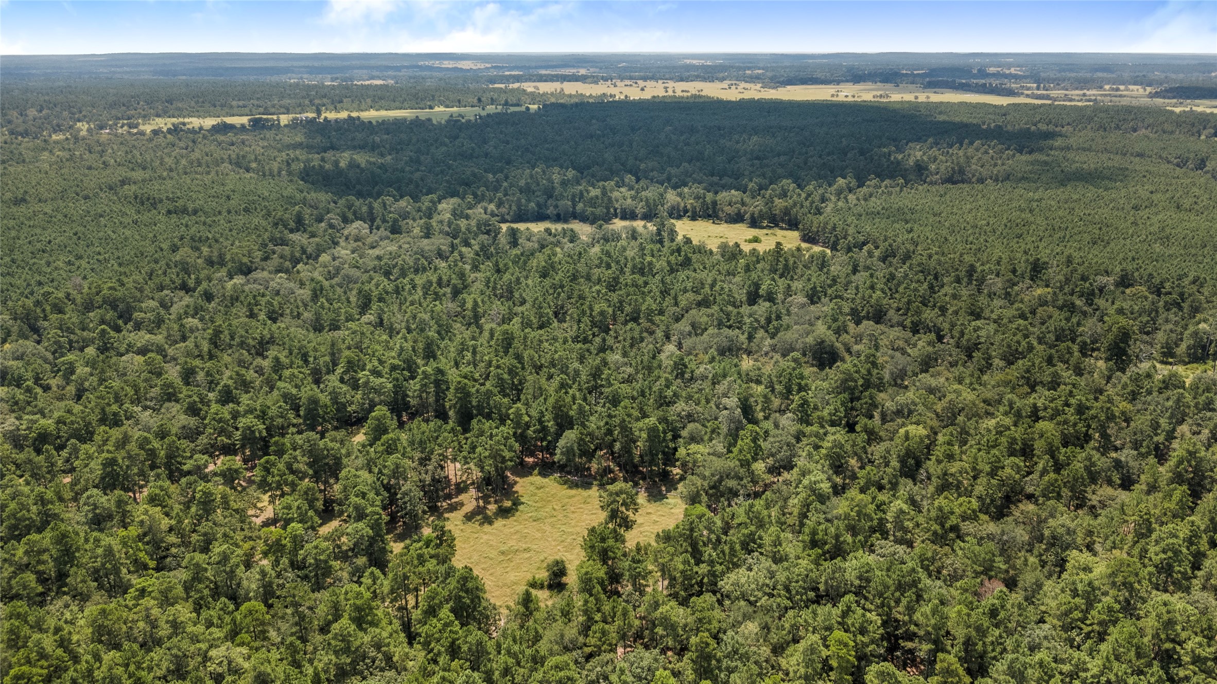 235 Flynt Road Huntsville, TX 77320 - Photo 18 of 25 a view of a forest with an outdoor space