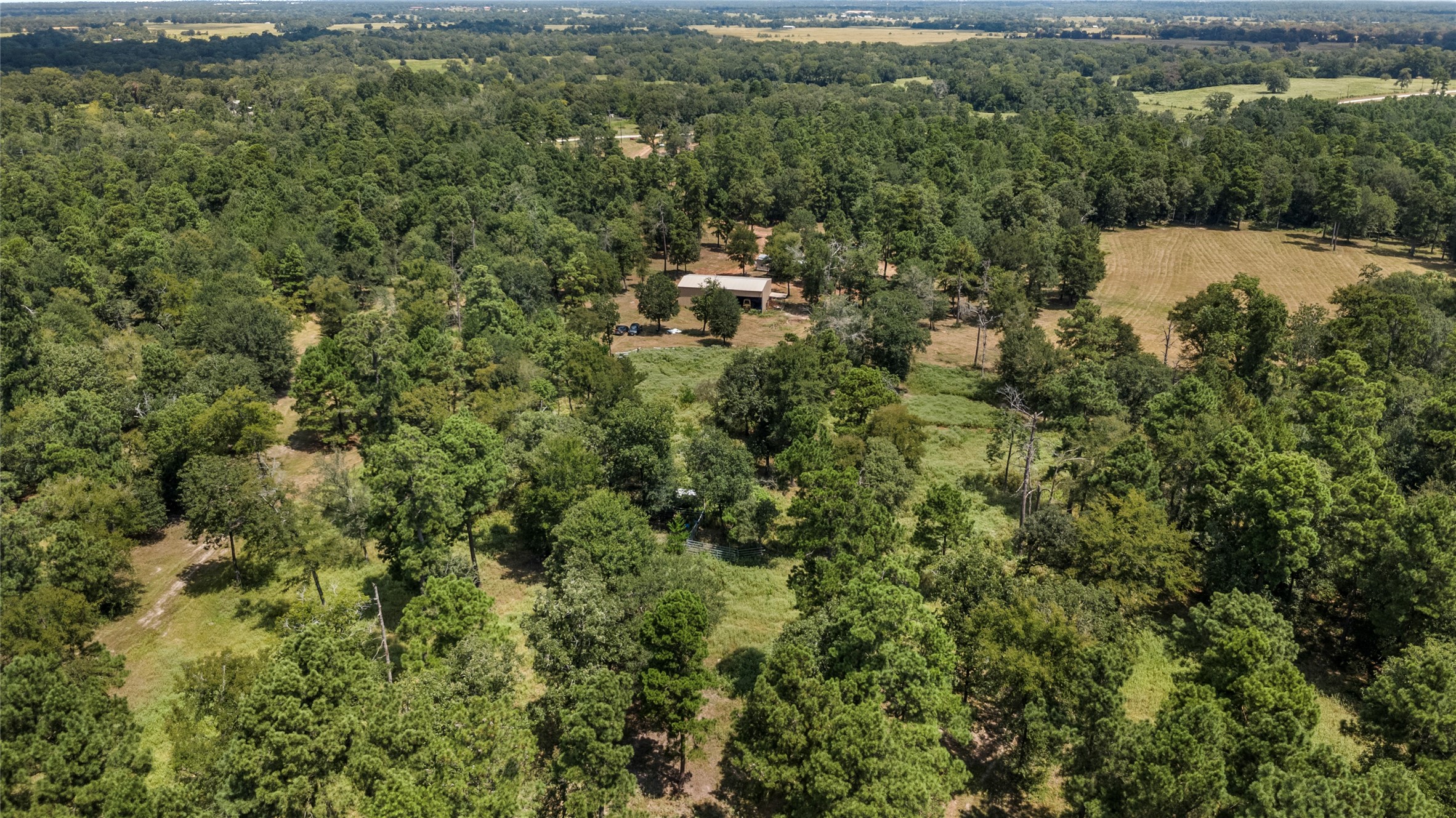 235 Flynt Road Huntsville, TX 77320 - Photo 19 of 25 a view of a forest with a houses