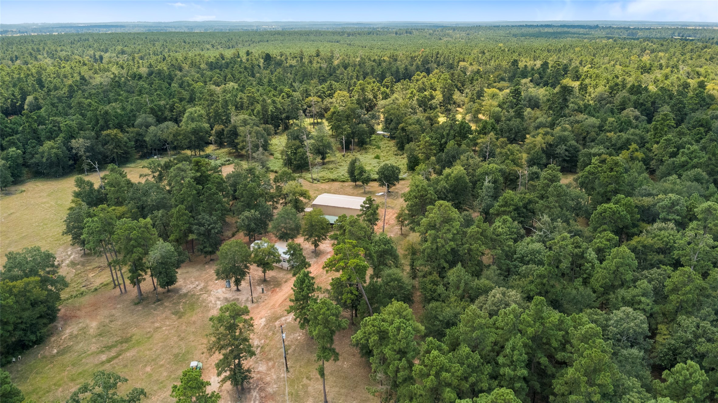 235 Flynt Road Huntsville, TX 77320 - Photo 21 of 25 a view of a forest with a yard