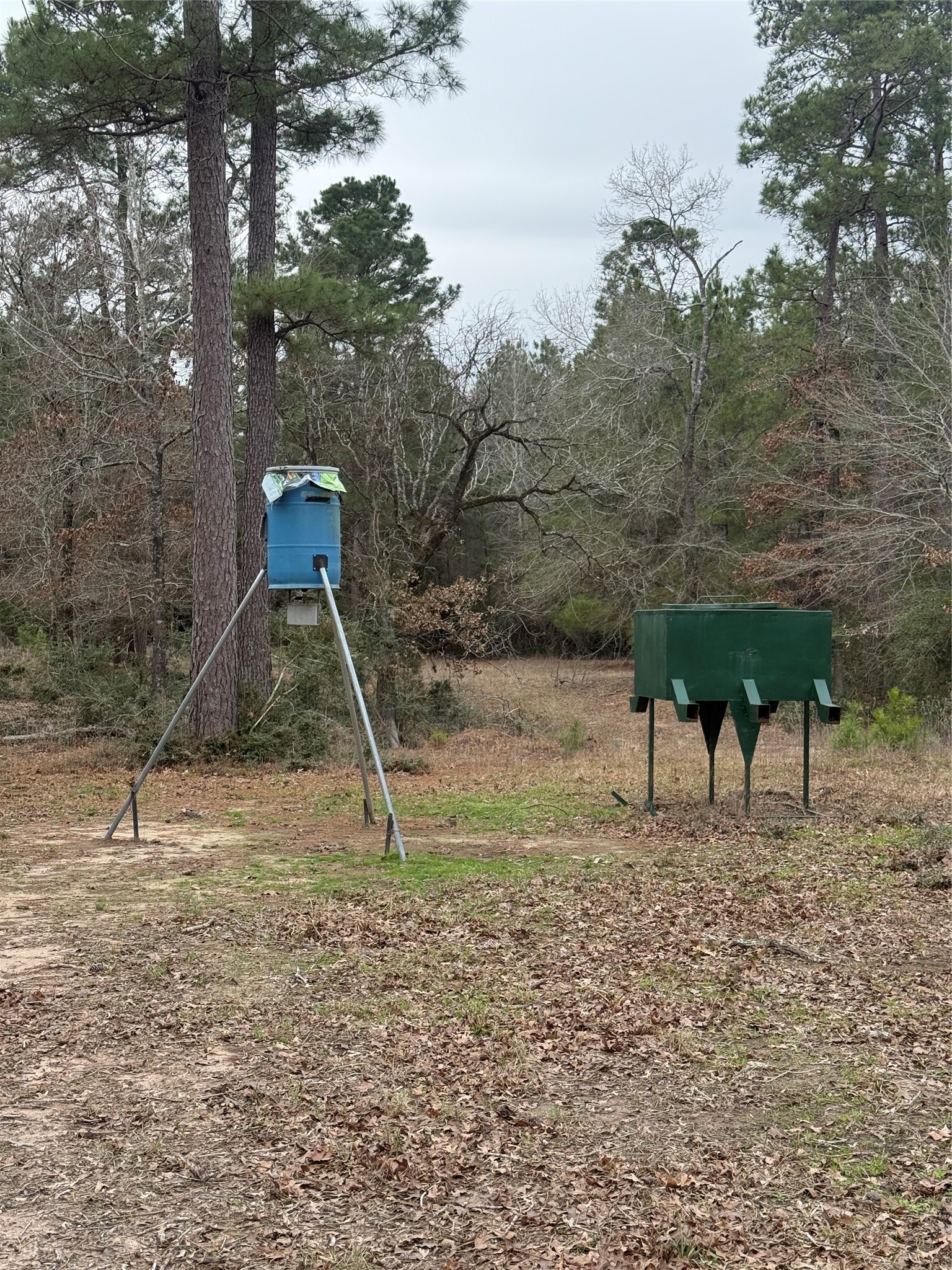 235 Flynt Road Huntsville, TX 77320 - Photo 23 of 25 a view of yard