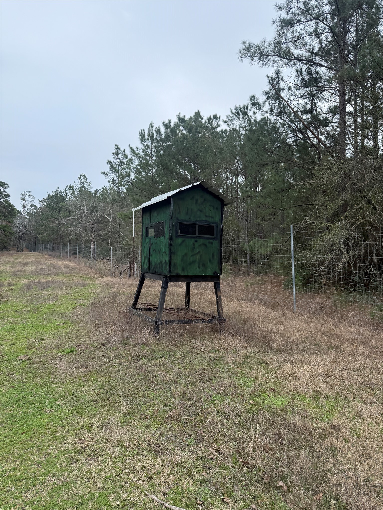 235 Flynt Road Huntsville, TX 77320 - Photo 24 of 25 a view of backyard with trees