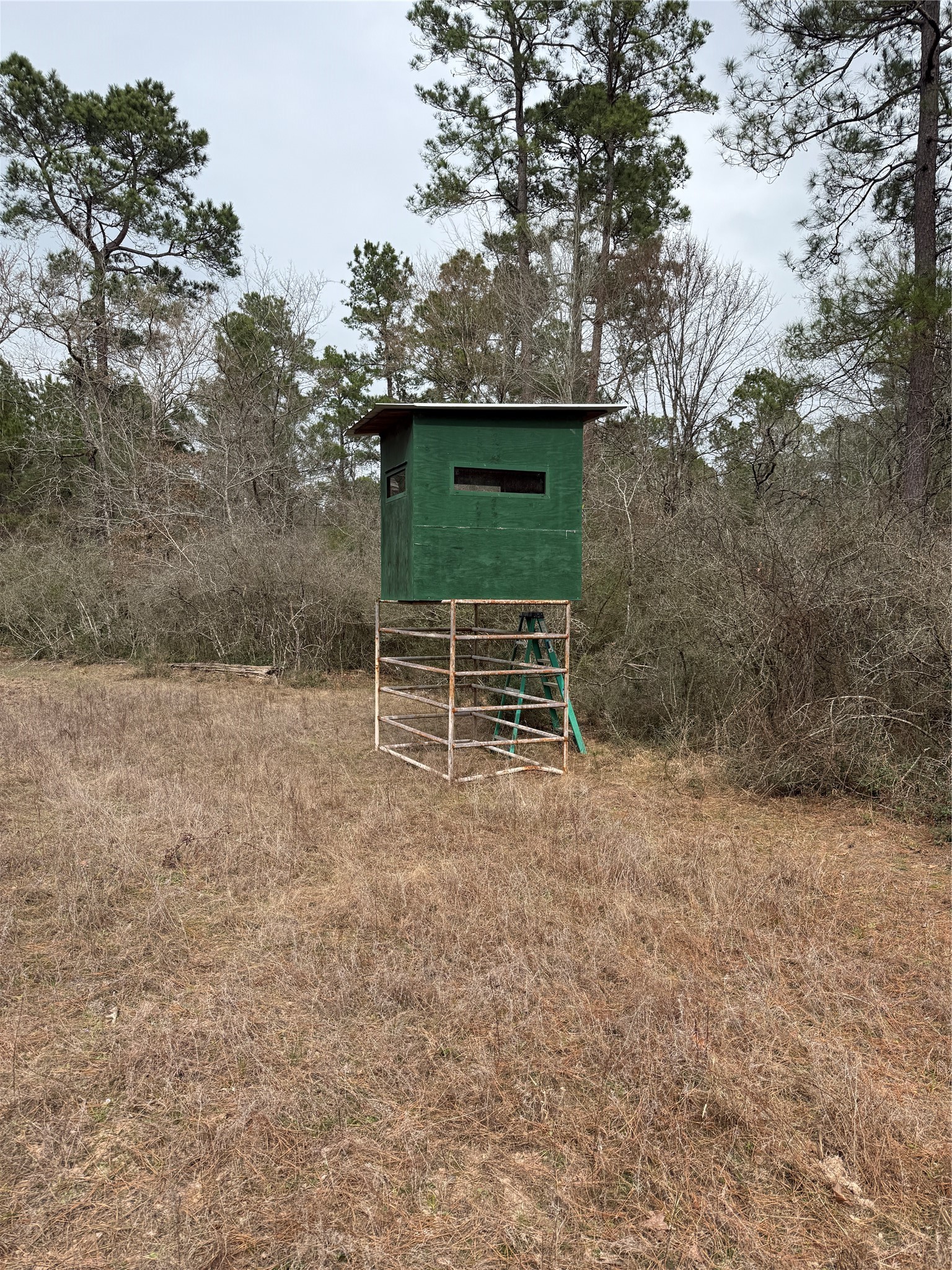 235 Flynt Road Huntsville, TX 77320 - Photo 25 of 25 a backyard of a house with table and chairs