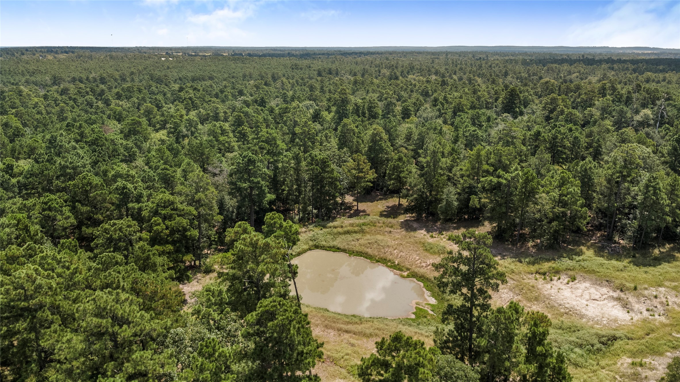 235 Flynt Road Huntsville, TX 77320 - Photo 4 of 25 a view of outdoor space and garden