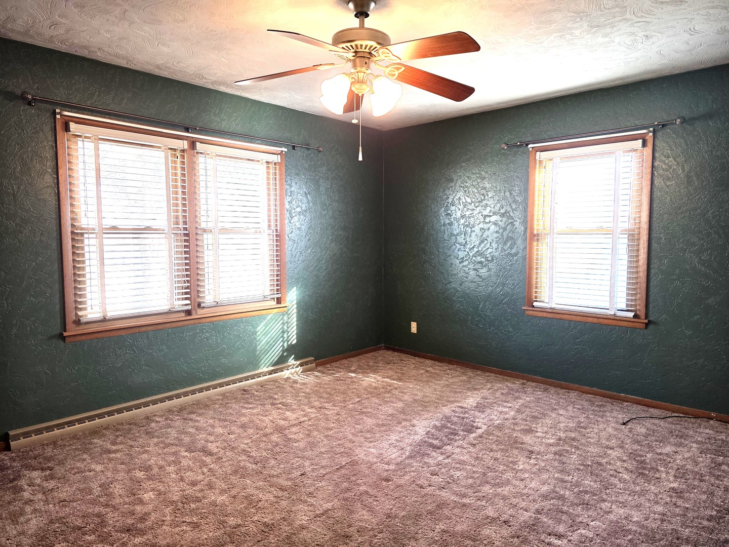 524 East Chestnut Street Geneseo, IL 61254 - Photo 16 of 39 an empty room with a window and a fan