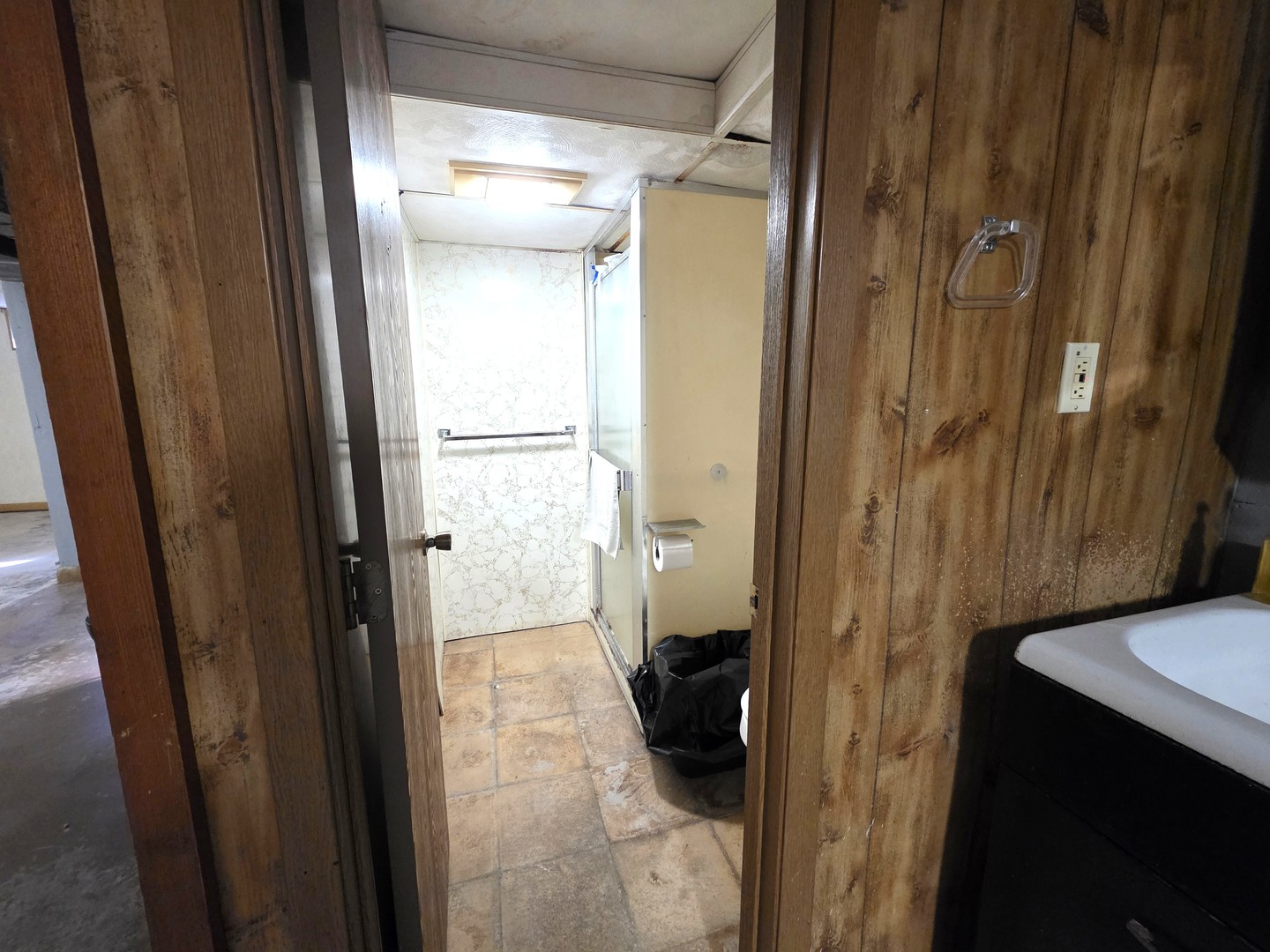 524 East Chestnut Street Geneseo, IL 61254 - Photo 30 of 39 a bathroom with a glass door shower and a sink