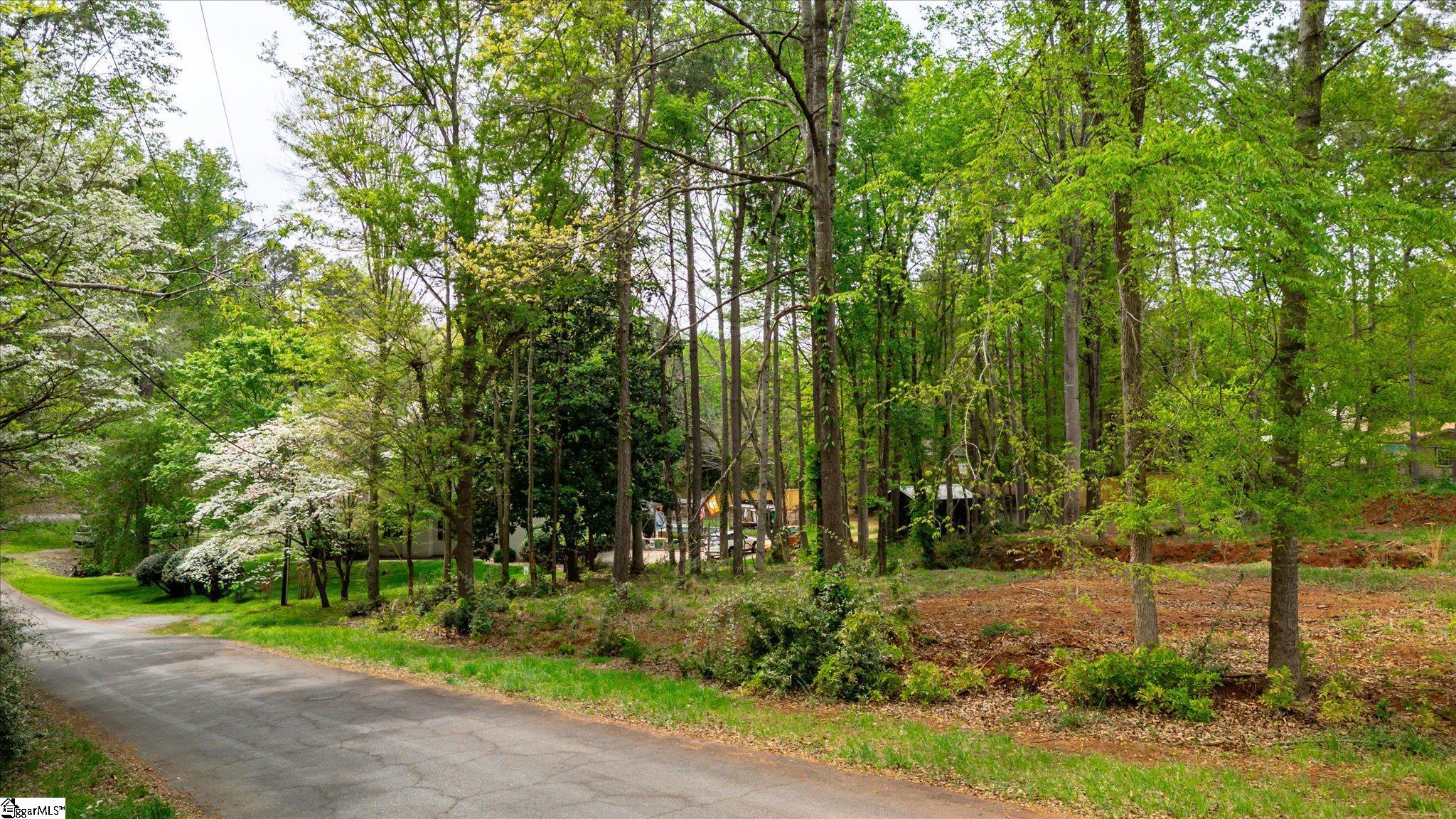 110 Jessamine Drive Central, SC 29630 - Photo 2 of 6