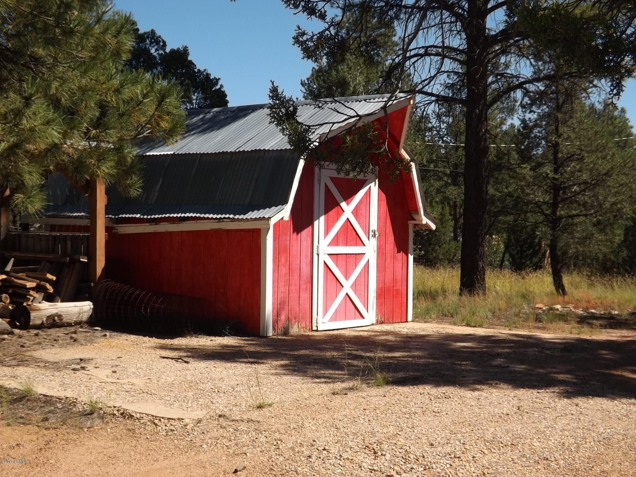 3092 Chevelon Road Overgaard, AZ 85933 - Photo 8 of 26 DSCF1724