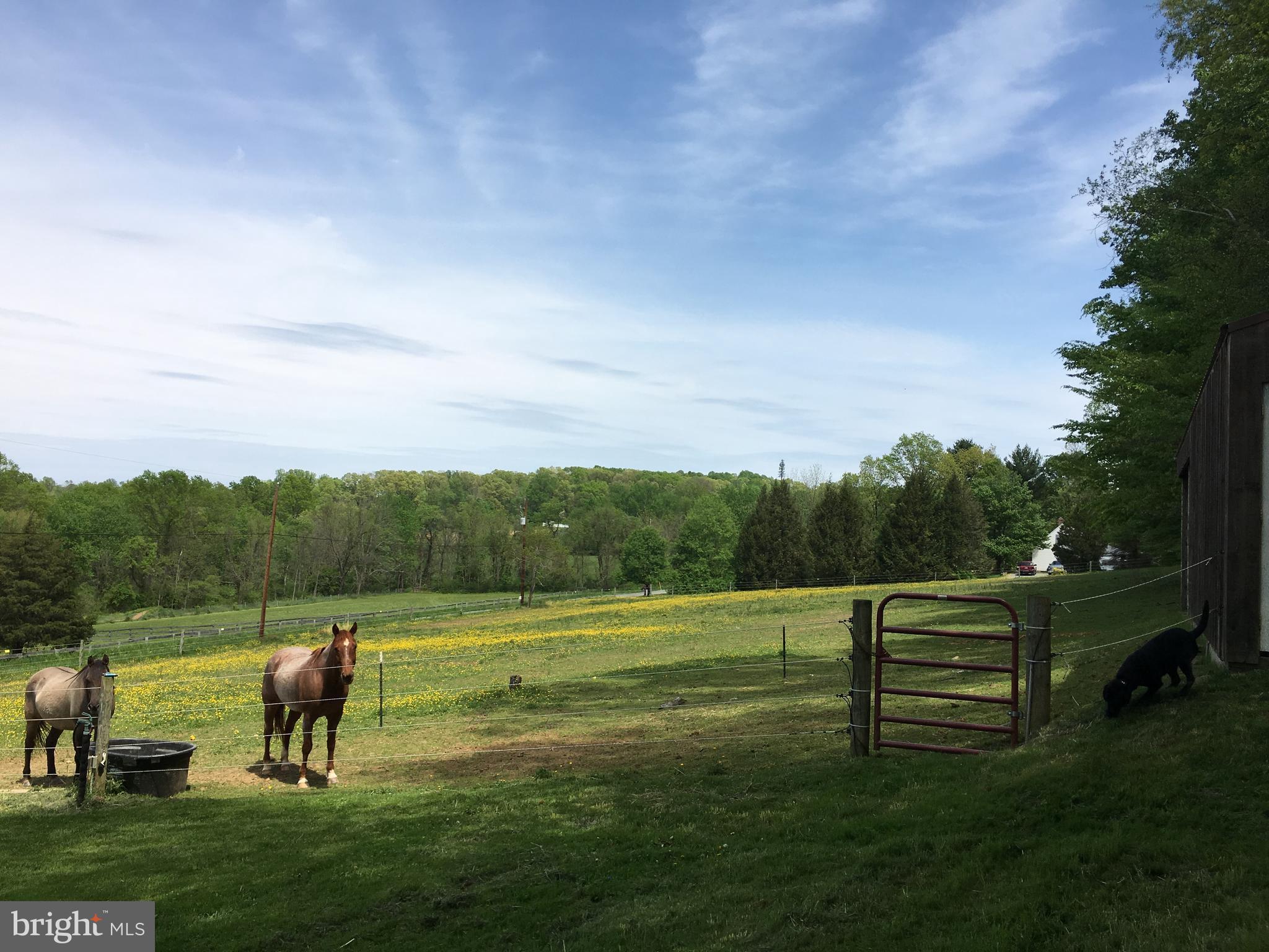 1347 Quaker Church Road Street, MD 21154 - Photo 21 of 28 Pasture with 2 stall barn