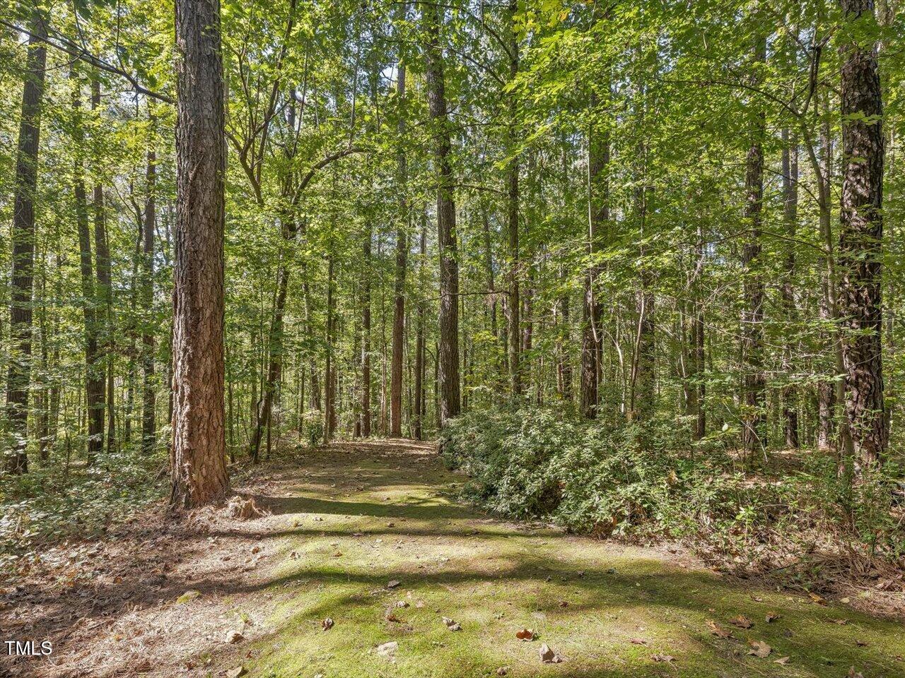 281 Karen Calhoun Road Pittsboro, NC 27312 - Photo 12 of 14 23-023-KarenCalhounRd-Chatham-Parcel-295